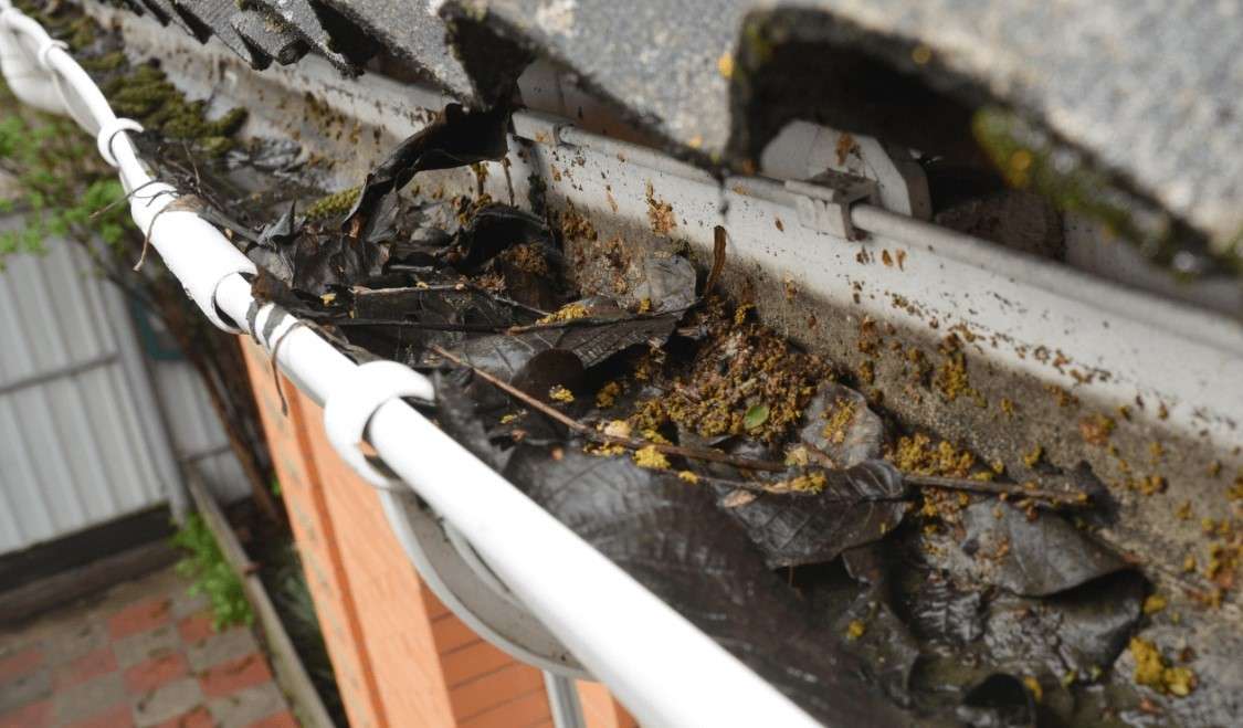Affordable Gutter Installation Near Me Miami