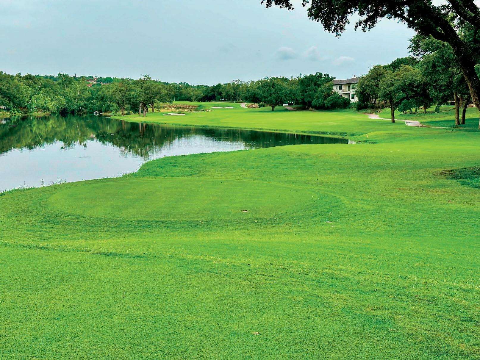 austinareaspecialist