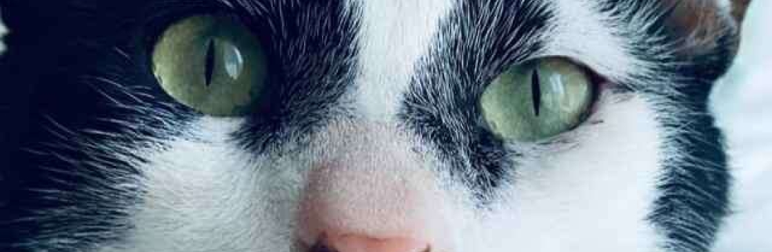 Karolina Agata Sankiewicz