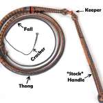 stock whip