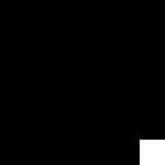 ngo partner