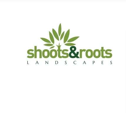 Shootsandroots wales