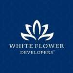 White Flower Developers