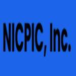 Nic picnic