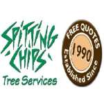 Spitting Chips