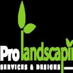 Pro Landscaping Services  Designs