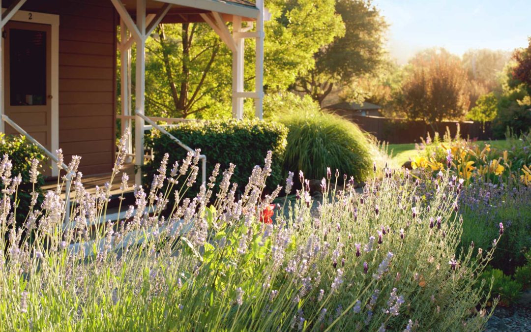 Sonoma County Drug & Alcohol Rehab Center Since 1949 | MOUNTAIN VISTA FARM