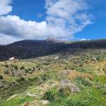 Greece Invests