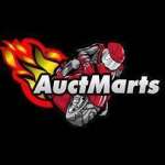 Auctmarts Fairing
