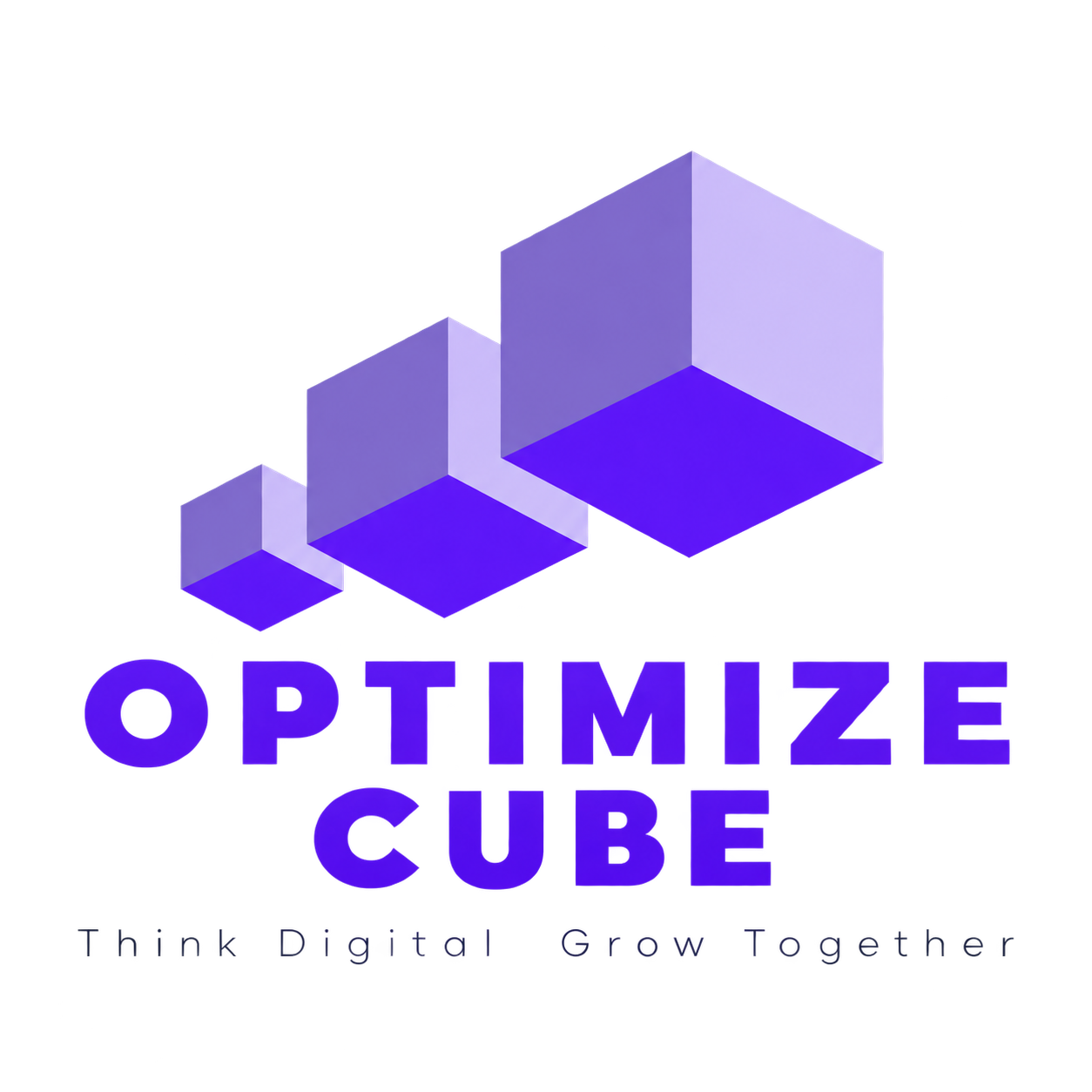 SEO Agency in Tamil Nadu | Optimize Cube – Result-Driven SEO Services