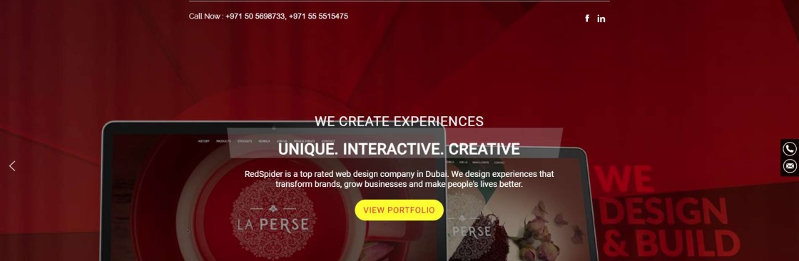 RedSpider Web and Art Design